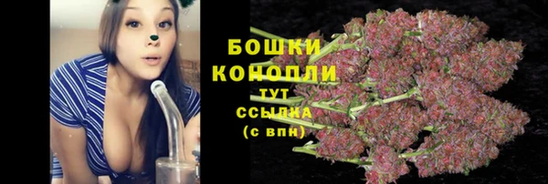 ECSTASY Новокубанск