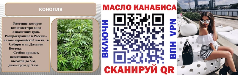 ТГК вейп  Купить  Кедровый 