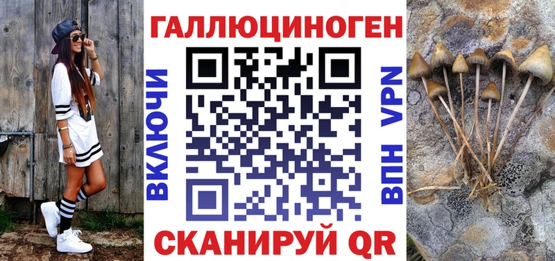 Купить  Кедровый  Галлюциногенные грибы Psilocybe 