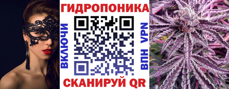 Купить закладки  Кедровый  Шишки марихуана гибрид 